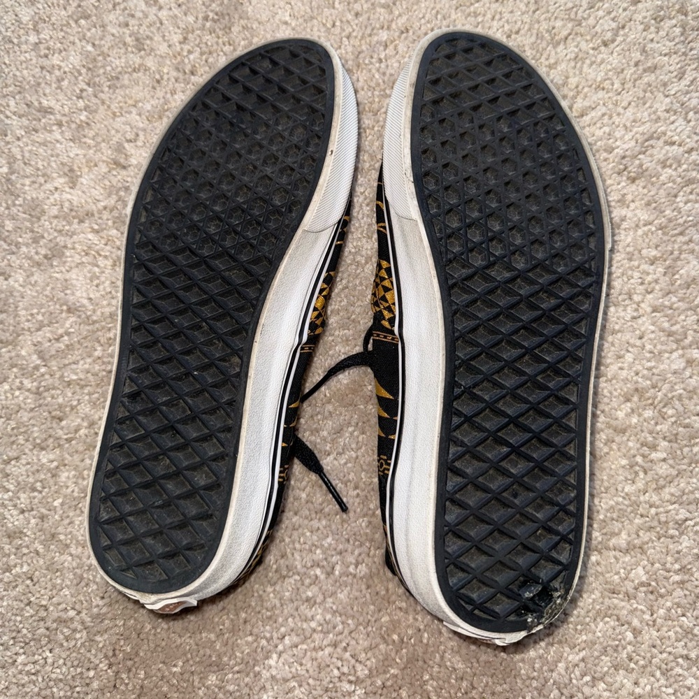 Aztec Vans! - Picture 4 of 6